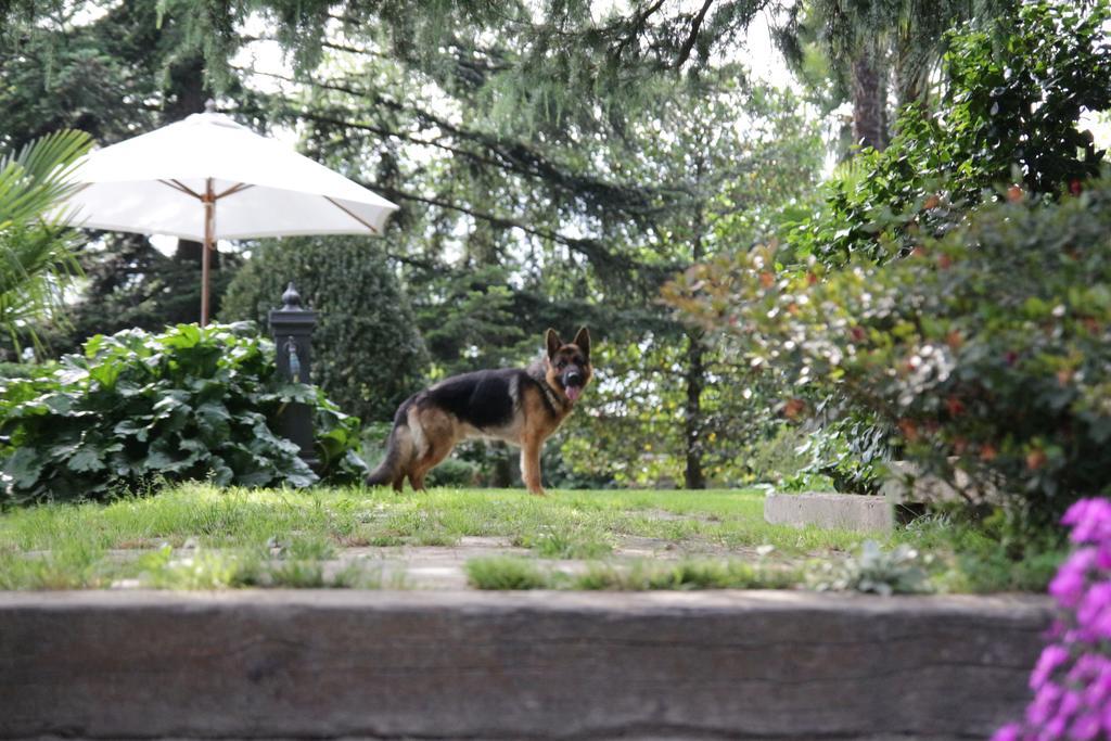 B&B Casa Carla ピネローロ エクステリア 写真